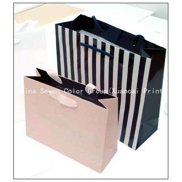 Fashionable Paper Bag 